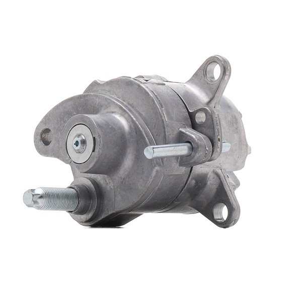 RIDEX 541V0008 Τεντωτήρας ιμάντα, ιμάντας poly-V MERCEDES-BENZ C-class Coupe (CL203) 129 PS Βενζίνη κόστος