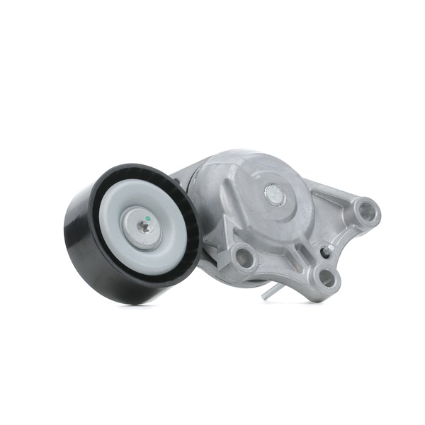 RIDEX 310T0067: Poulie, tendeur de courroie d'accessoire Ø: 65mm