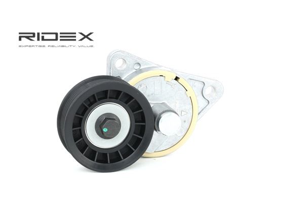 RIDEX 540T0004: Spannarm, Keilrippenriemen