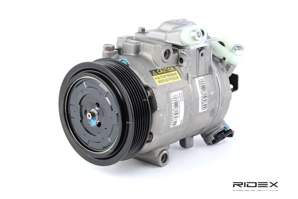 RIDEX 447K0106 Κομπρεσέρ air condition SEAT Toledo 4 (KG3) 75 PS Βενζίνη κόστος
