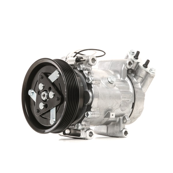 RIDEX 447K0028 Compressore aria condizionata RENAULT KANGOO Express (FC0/1_) 65 CV Diesel costo