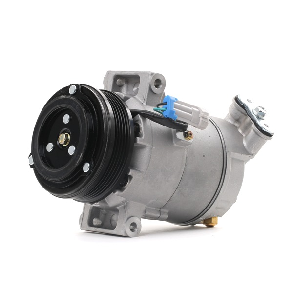 RIDEX 447K0037 Aircopomp OPEL Astra G CC (T98) 103 Pk Benzine kosten