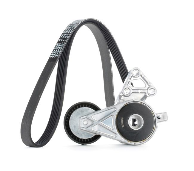 STARK SKRBS-1200044: Set curea transmisie cu caneluri