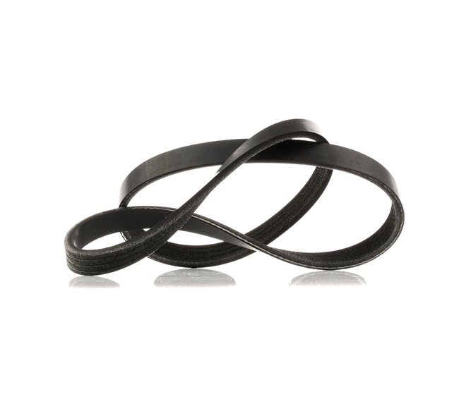 RIDEX 305P0014: Kilerem 855mm, Rippenanzahl: 4