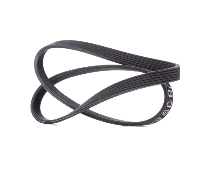 RIDEX 305P0063 Multiriem SKODA OCTAVIA (1U2) 101 Pk Benzine kosten