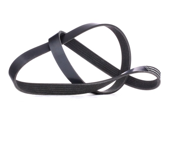 RIDEX 305P0064: Kilerem 1200mm, Rippenanzahl: 6