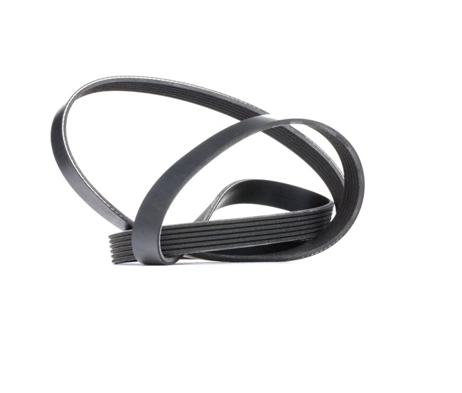 RIDEX 305P0083: Multiriem 1740mm, Ribbenaantal: 6