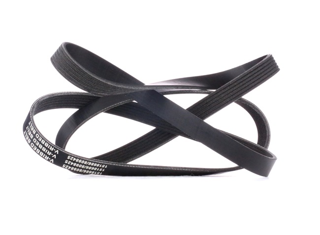 RIDEX 305P0089: Multiriem 1873mm, Ribbenaantal: 6