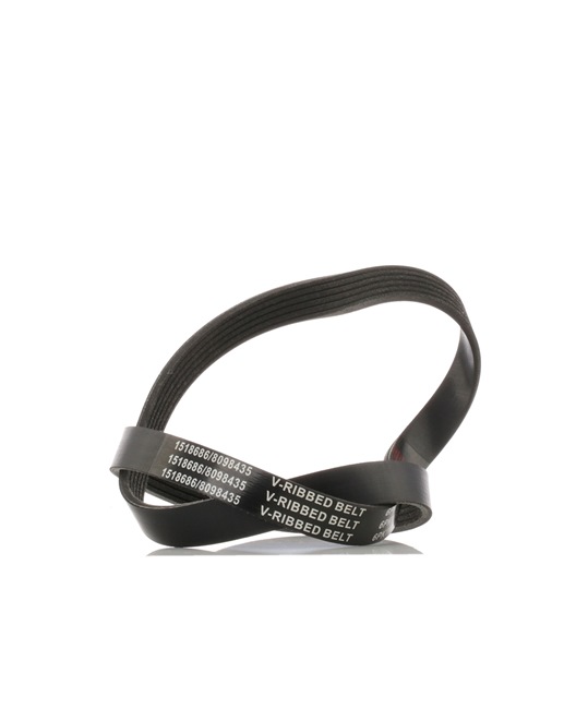 RIDEX 305P0059: Kilerem 1123mm, Rippenanzahl: 6