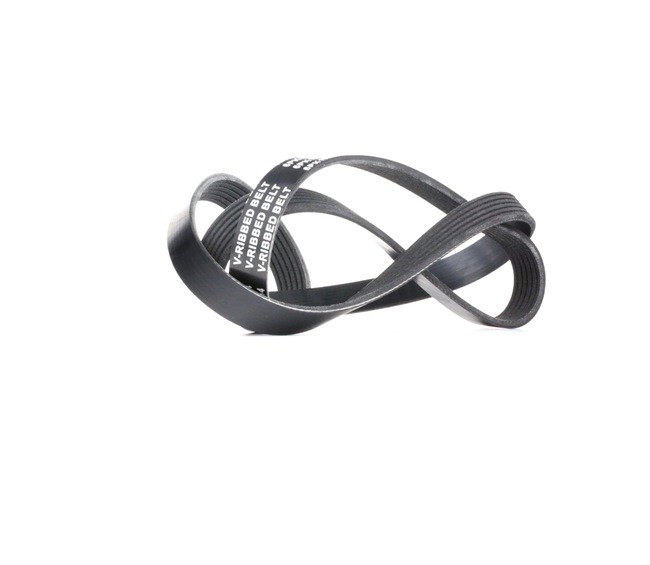 RIDEX 305P0082: Multiriem 1708mm, Ribbenaantal: 6