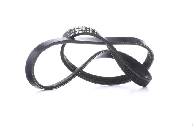 RIDEX 305P0019: Multiriem 925mm, Ribbenaantal: 4