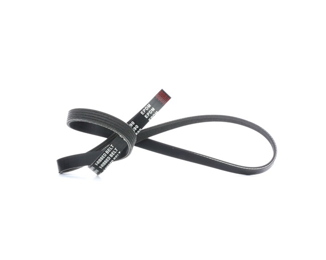 RIDEX 305P0042 Пистов ремък AUDI A4 Седан (8D2, B5) 90 K.C. дизел цена