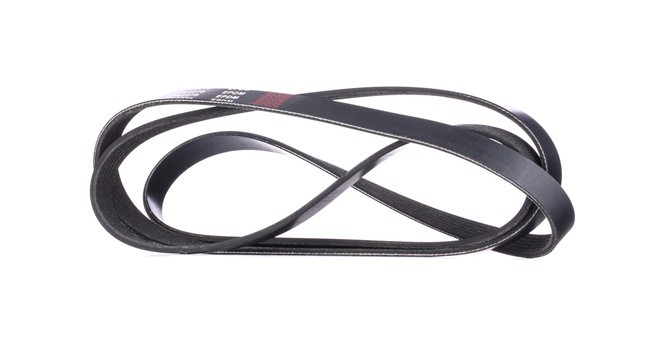 RIDEX 305P0101 Multiriem LAND ROVER Range Rover 3 (L322) 306 Pk Benzine kosten