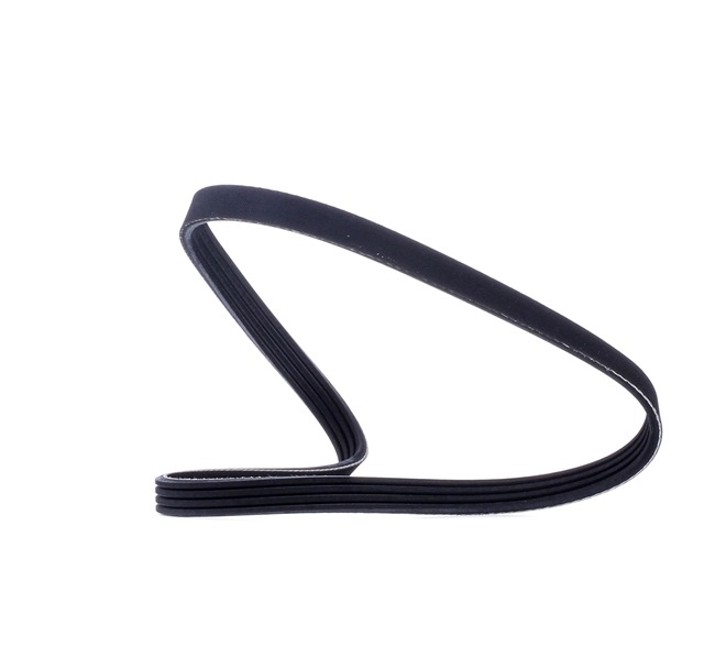 RIDEX 305P0015 Пистов ремък BMW X5 (E53) 218 K.C. дизел цена