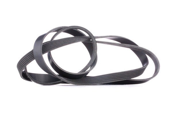 RIDEX 305P0102 Multiriem OPEL INSIGNIA Stationwagen 260 Pk Benzine kosten