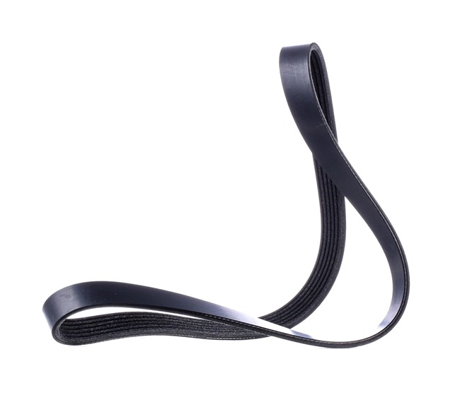RIDEX 305P0165 Ιμάντας poly-V SEAT Toledo 3 (5P2) 140 PS Πετρέλαιο κόστος