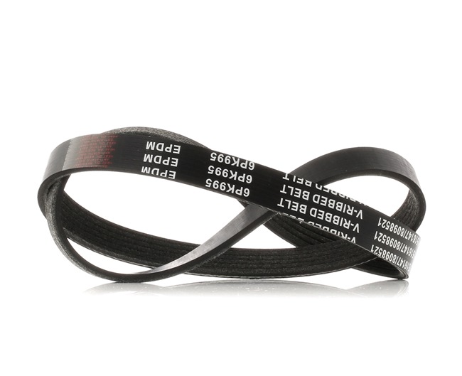 RIDEX 305P0052: Multireim 995mm, Ribbeantall: 6