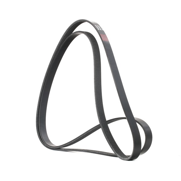RIDEX 305P0100 Correa trapecial poli V JEEP GRAND CHEROKEE 2 (WJ, WG) 227 cv Gasolina costo