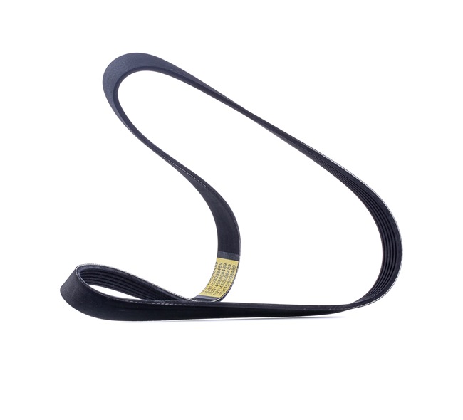 RIDEX 305P0138 Ιμάντας poly-V SEAT Toledo 4 (KG3) 105 PS Βενζίνη κόστος