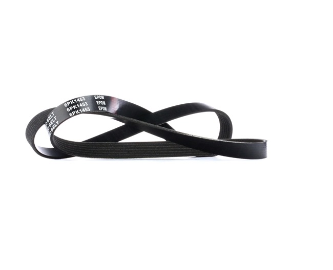 RIDEX 305P0144: Ιμάντας poly-V 1453mm, Πλήθος ραβδώσεων: 6