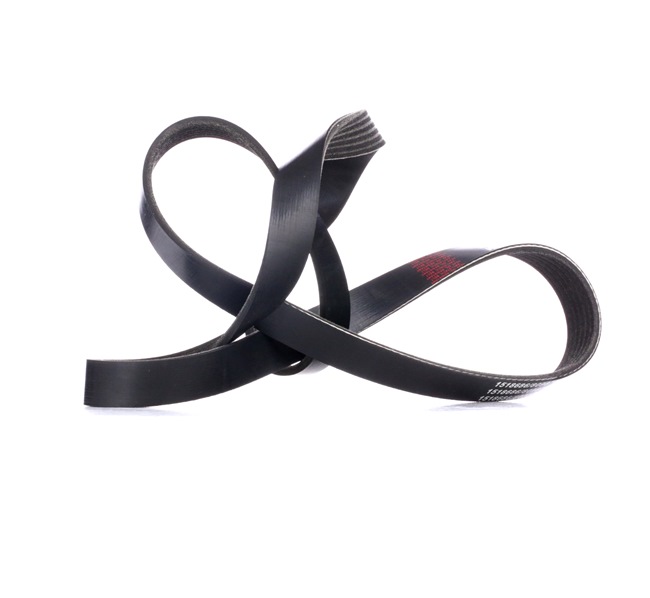 RIDEX 305P0170: Cinghia servizi 1355mm, N° di nervature: 6