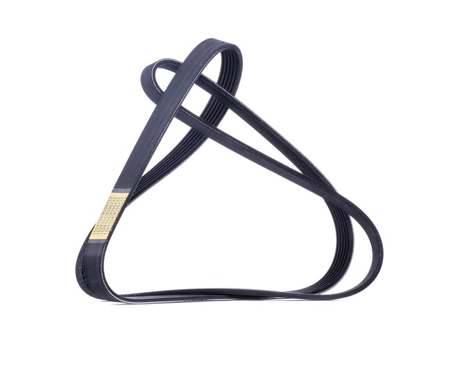RIDEX 305P0287 Ιμάντας poly-V SEAT Toledo 4 (KG3) 105 PS Βενζίνη κόστος