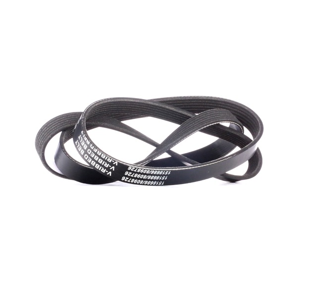 RIDEX 305P0074: Multireim 1560mm, Ribbeantall: 6
