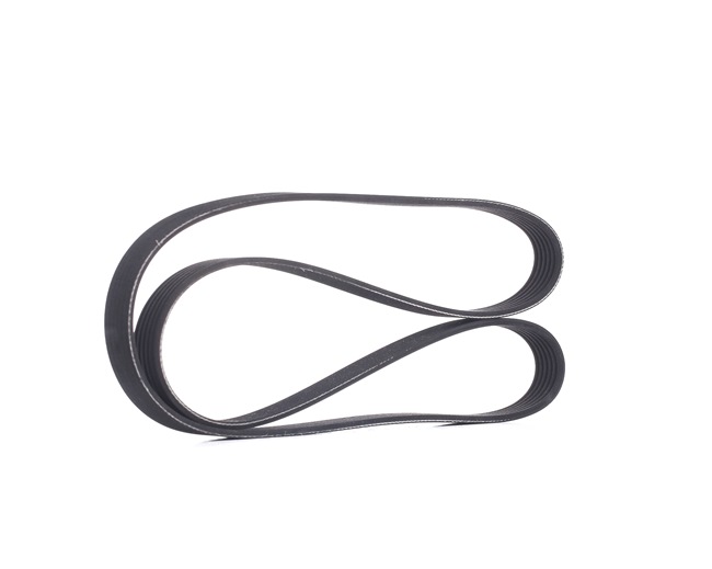 RIDEX 305P0136: Multireim 1388mm, Ribbeantall: 6