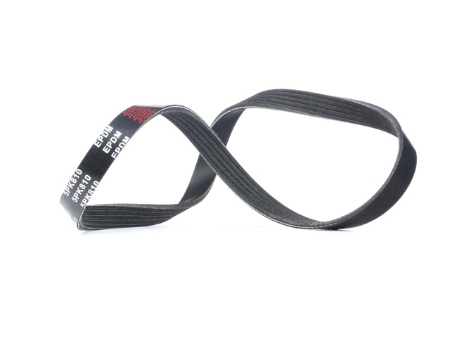 RIDEX 305P0024 Пистов ремък BMW X5 (E53) 218 K.C. дизел цена
