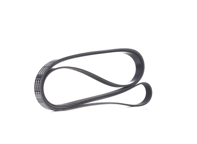 RIDEX 305P0225 Multiriem SAAB 9-5 Stationwagen (YS3E) 250 Pk Benzine kosten