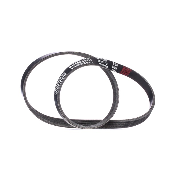 RIDEX 305P0305 Пистов ремък FIAT STILO (192) 103 K.C. бензин цена
