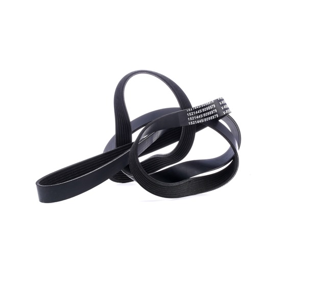 RIDEX 305P0229 Multiriem LAND ROVER Range Rover 3 (L322) 306 Pk Benzine kosten