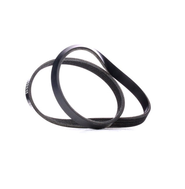 RIDEX 305P0360 Пистов ремък BMW 7 (E65, E66, E67) 231 K.C. дизел цена