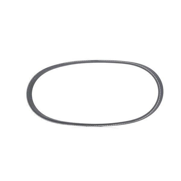 RIDEX 305P0339: Pasek klinowy wielorowkowy 580[mm], Liczba żeber: 4