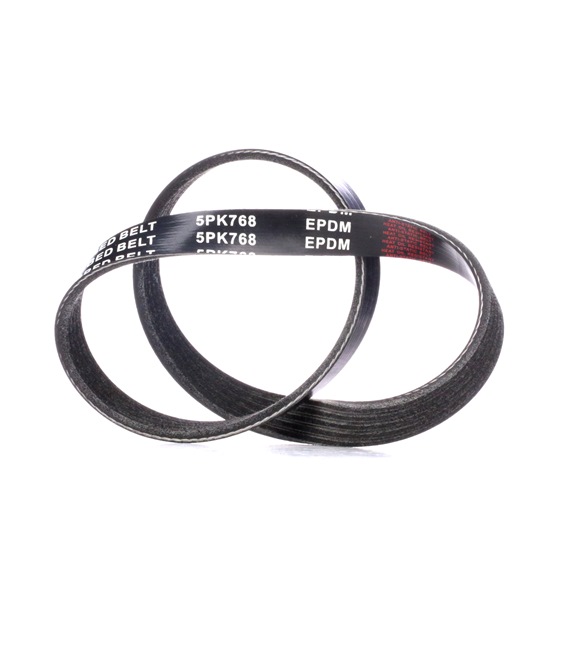 RIDEX 305P0251 Ιμάντας poly-V SMART FORTWO Κουπέ (450) 41 PS Πετρέλαιο κόστος