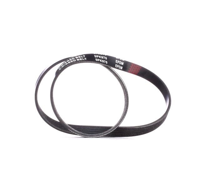 RIDEX 305P0369 Multiriem ALFA ROMEO 145 (930) 90 Pk Diesel kosten