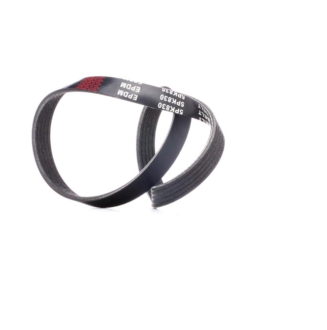 RIDEX 305P0197 Ιμάντας poly-V CITROЁN XSARA Break (N2) 88 PS Βενζίνη κόστος