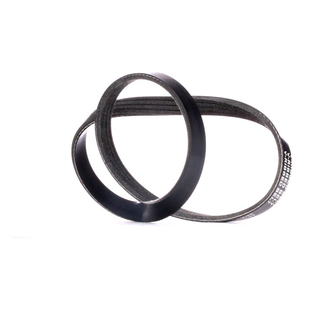 RIDEX 305P0381: Moniurahihna 755mm, Kiiloja: 4