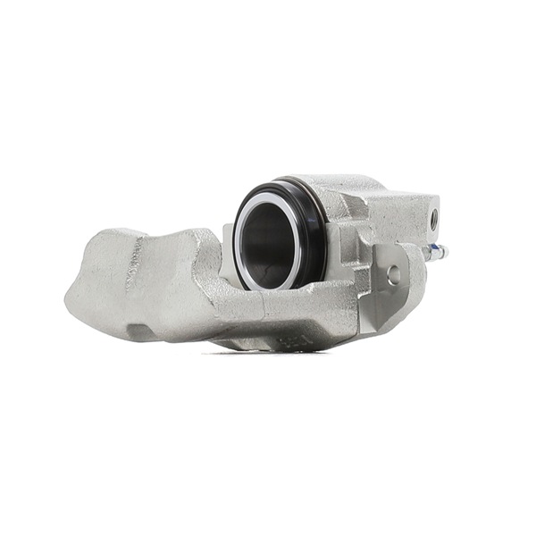 RIDEX 78B0246 Bremžu suports RENAULT MEGANE Scenic (JA0/1_) 75 ZS Benzīns cena