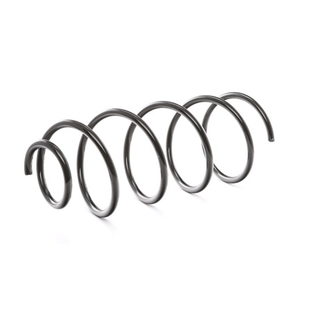 RIDEX 188C0017: Arc spiral punte fata