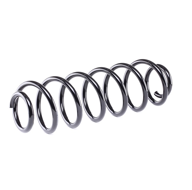 RIDEX 188C0016: Arc spiral puntea spate