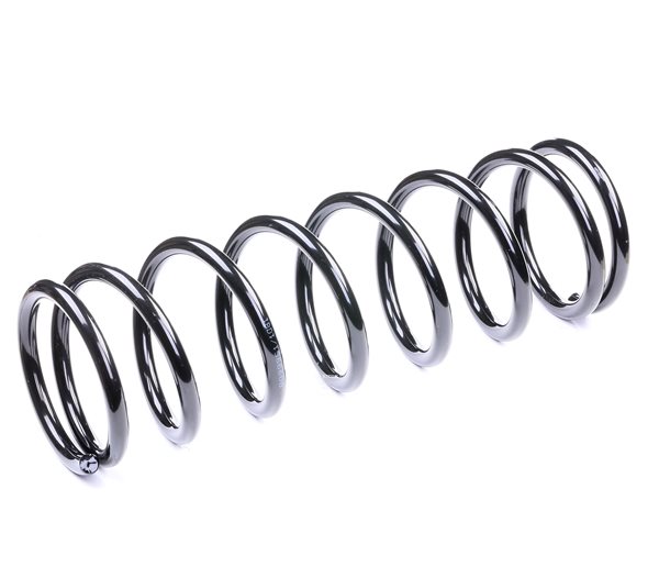 RIDEX 188C0022 Пружина за ходовата част FORD FOCUS (DAW, DBW) 100 K.C. бензин цена