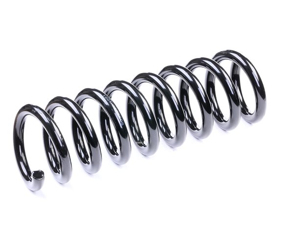 RIDEX 188C0170: Fahrwerksfeder Hinterachse