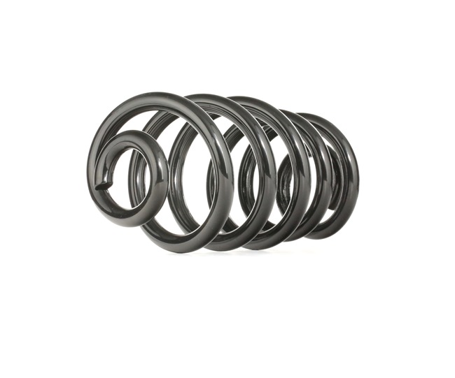 RIDEX 188C0246 Fahrwerksfeder AUDI A4 Cabrio (8H7, B6, 8HE, B7) 163 PS Benzin Kosten