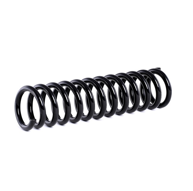 RIDEX 188C0290: Chassisveer Vooras