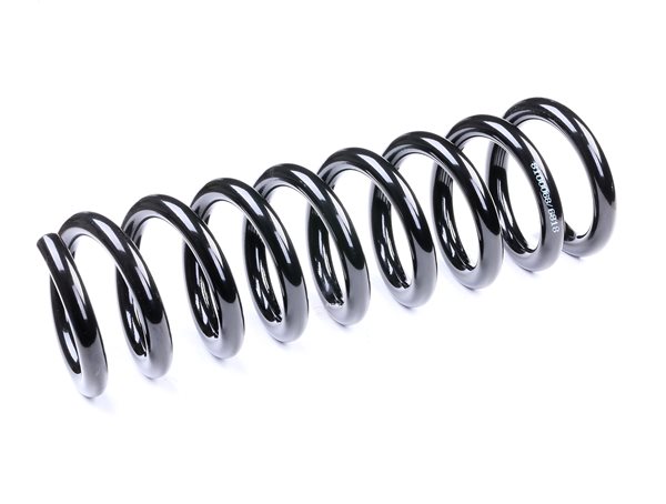 RIDEX 188C0058: Fahrwerksfeder Hinterachse