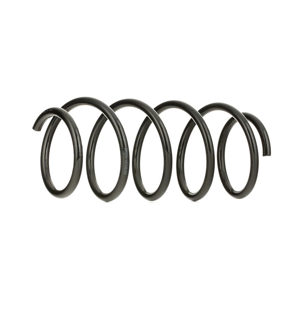 RIDEX 188C0021: Chassisveer Vooras