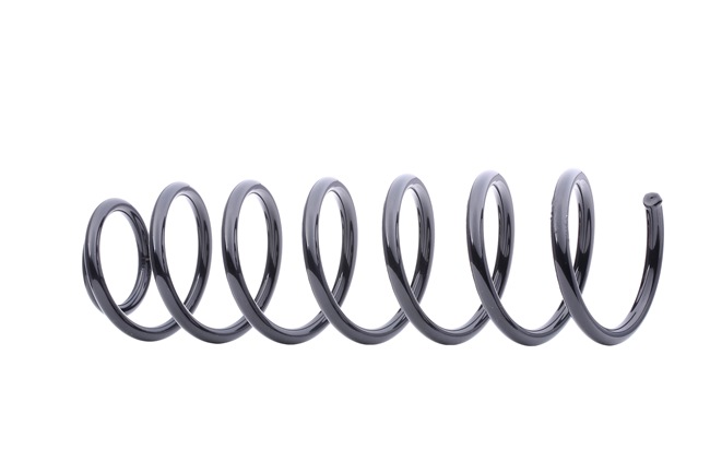 RIDEX 188C0231 Federn AUDI A4 Limousine (8D2, B5) 1.8 T 180 PS Benzin