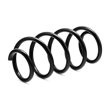 RIDEX 188C0276 Federn VW TOURAN (1T1, 1T2) 2.0 TDI 16V 140 PS Diesel