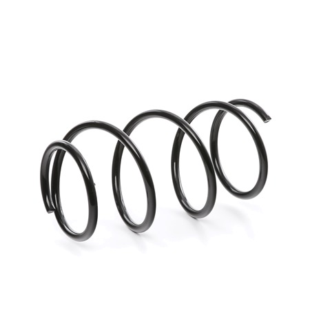 RIDEX 188C0099: Fahrwerksfeder Vorderachse